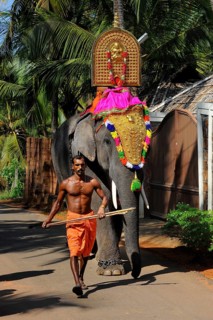 Decorated temple elephant with mahut