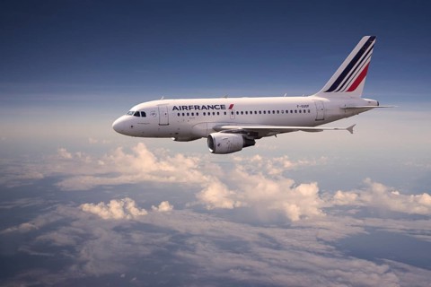 Air France Airbus A318-111 in flight
