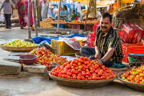 A man is selling tomatoes at the weekly vegetable market