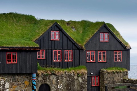 Houses with a grass roof