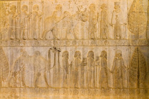 Relief of the Apadana