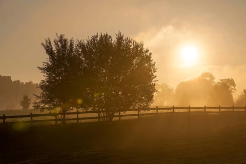 Sunrise with morning mist over meadows and pastures