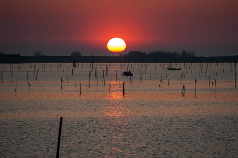 Sunrise in the Po River Delta