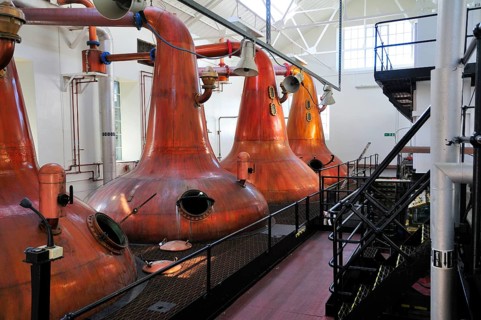 Copper stills in the whiskey distillery Highland Park Distillery