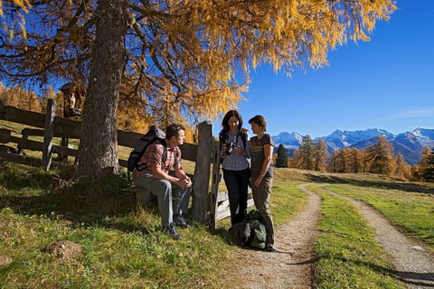Hikers on the Larchenwiesen meadows