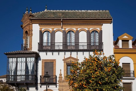 Andalusian style residence and Bitter or Seville Orange (Citrus x aurantium)