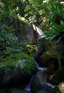 Waterfall on Nosy Mangabe