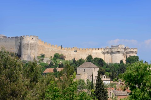 Fort Saint-Andre