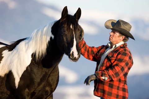 Cowboy with an American Paint Horse stallion