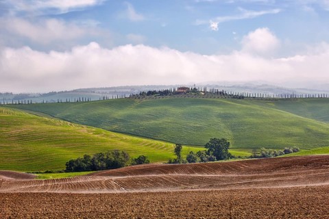 Hilly landscape of the Crete Senesi