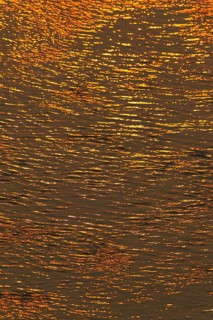 Reflections of the setting sun in the Olifants River