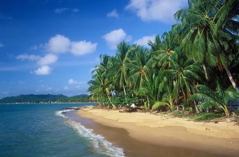 Palm beach
