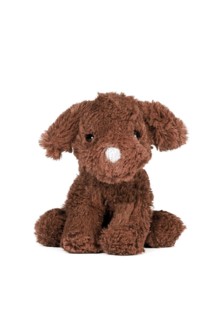 Brown dog