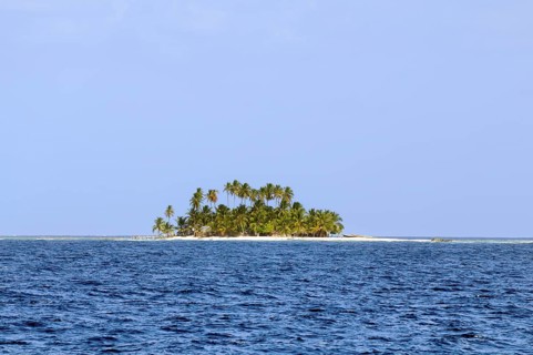 Lonely island with palm trees