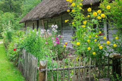Farmhouse with a garden