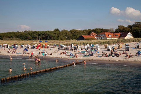 Sandy beach and coast