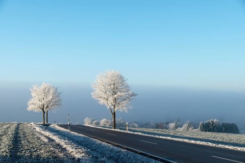 Country road with hoarfrost at Witthoh ridge