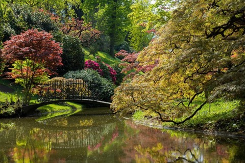 Pond with a bridge in the park of Villa Melzi