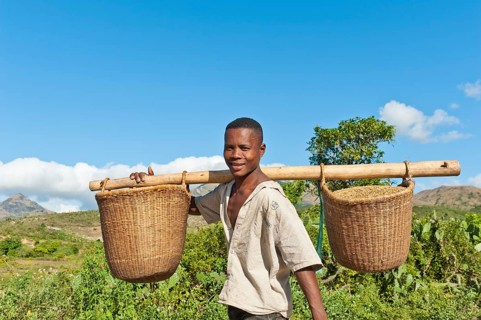 Young man of the Antandroy people carrying baskets for field work
