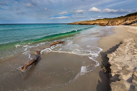 Beach along the Customs Officers' Trail