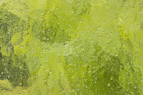 Raindrops