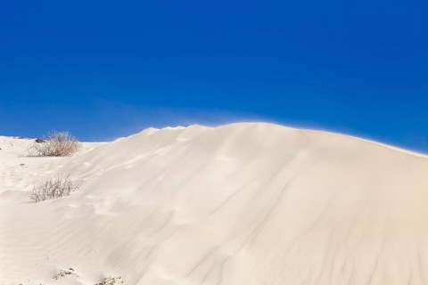 Dune