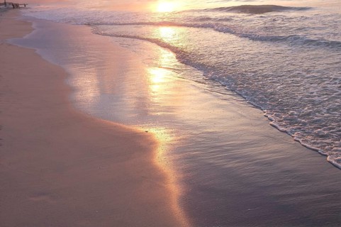 Beach in the evening light