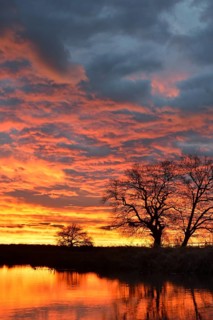 Sunrise over the Leiner See lake in the Middle Elbe Biosphere Reserve