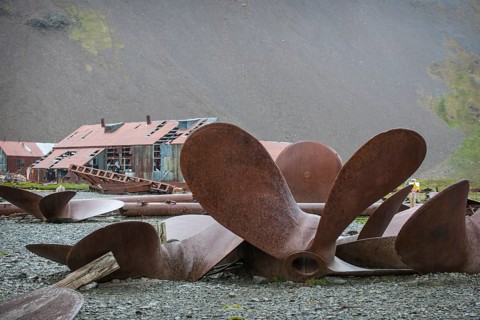 Huge old ships' propellors lying between the houses of the former Stromness whaling station