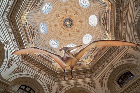 Ceiling
