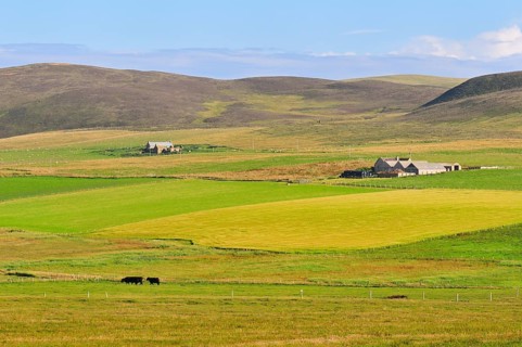 Landscape with a farm