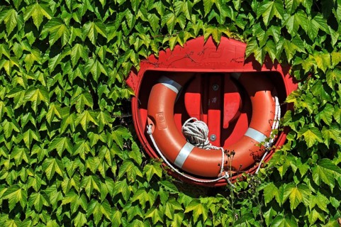 Lifebuoy