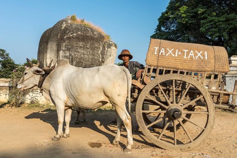 Oxcart taxi parked in front of the ruins of the half-lion Chinthe