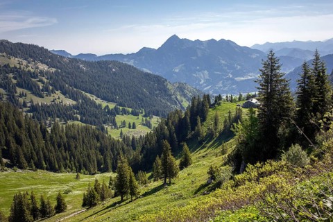 Rotwand area