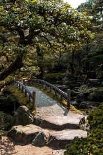 Garden Landscape