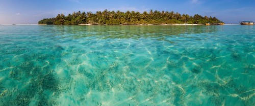 Embudu island