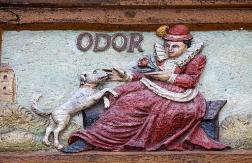Odor