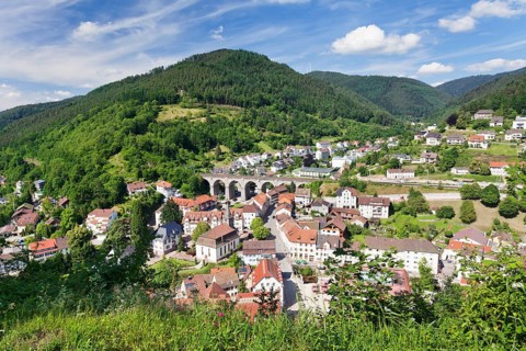 Townscape of Hornberg