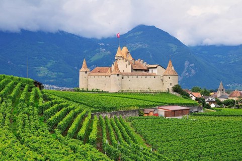 Chateau d' Aigle or Aigle Castle