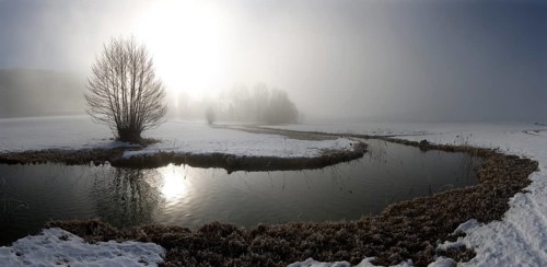 Floodplain