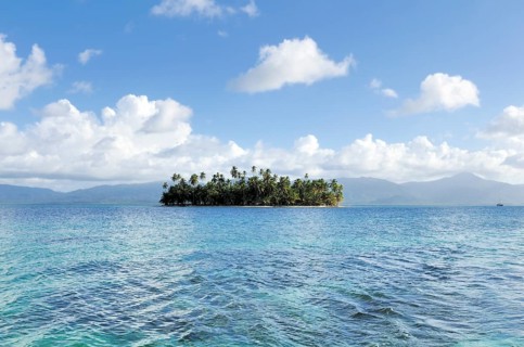 Tropical island with palm trees