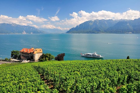 Views over the vineyards with Chateau de Glerolles and Lake Geneva towards the Swiss Rhone Valley