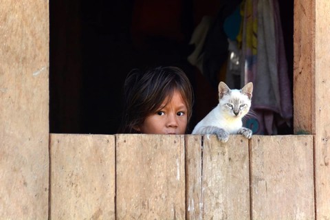 Girl and a cat looking out the window of a wooden hut