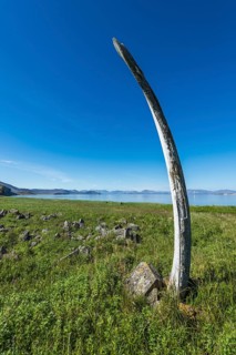 Whale Bone Alley