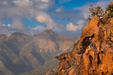 Bizarre rock erosions in the evening light