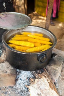 Boiled corn cobs at a cookshop