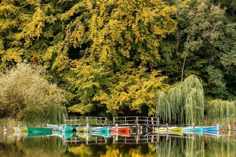 Boats
