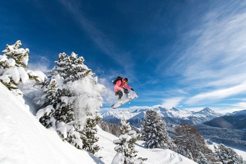 Snowboarder jumping over trees