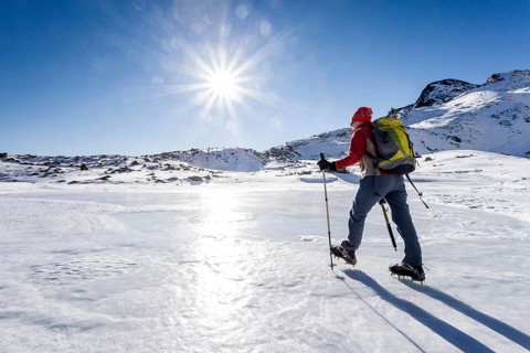 Hiker at the Steinwandsee