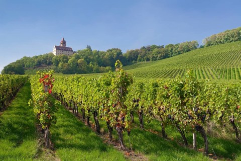 Stocksberg Castle